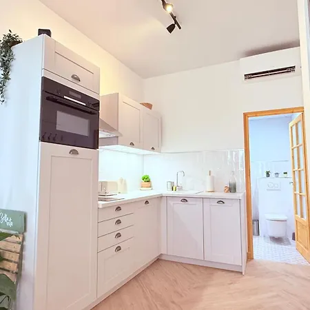 Apartment Newly Renovated Gem, Old *
