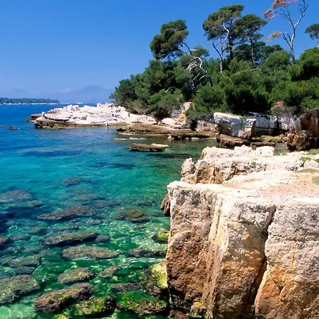 Newly Renovated Gem, Old * Αντίμπ