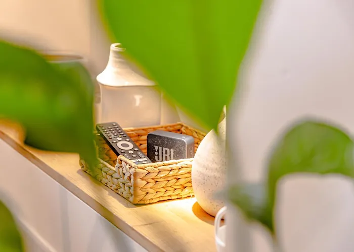 Newly Renovated Gem, Old Apartment *